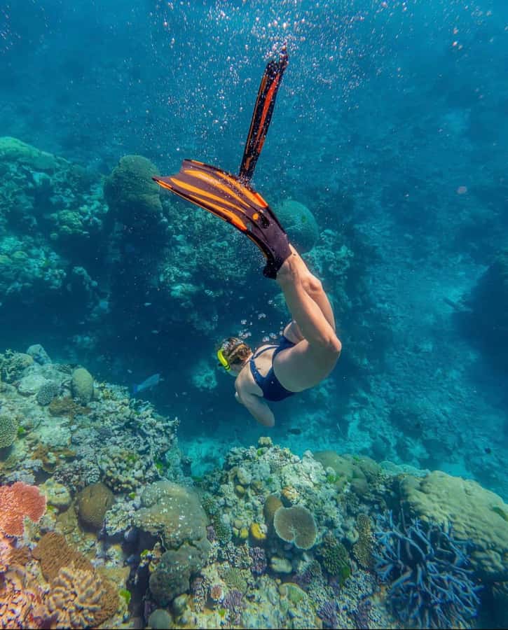 Snorkeling at Blue Lagoon, Tanjung Jepun and Waterfall - Tanjung Jepun and the quieter side of the coast
