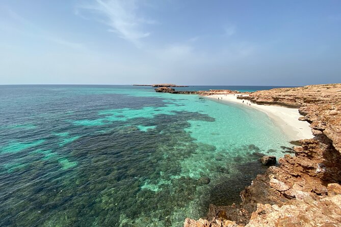 Snorkeling at Dimaniyat Islands and Dolphin Watching - Snorkeling among turtles, fish, and coral
