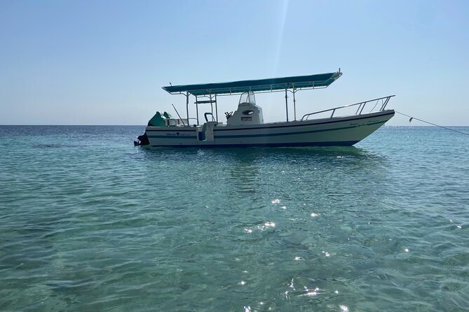 Snorkeling at Dimaniyat Islands and Dolphin Watching - The beach stop and the pace of the morning