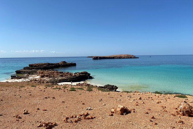 Snorkeling at Dimaniyat Islands and Dolphin Watching - Guides, service, and what can vary