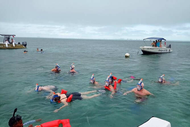 Snorkeling at Hol Chan Marine Reserve and Shark Ray Alley - Guides who make the difference