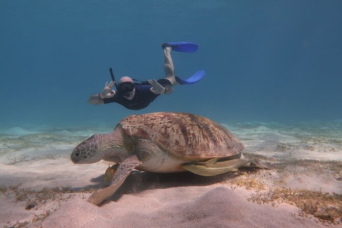 Snorkeling Boat Trip with Dugongs and Turtles in Marsa Alam - Why Marsa Mubarak Is Worth Your Morning