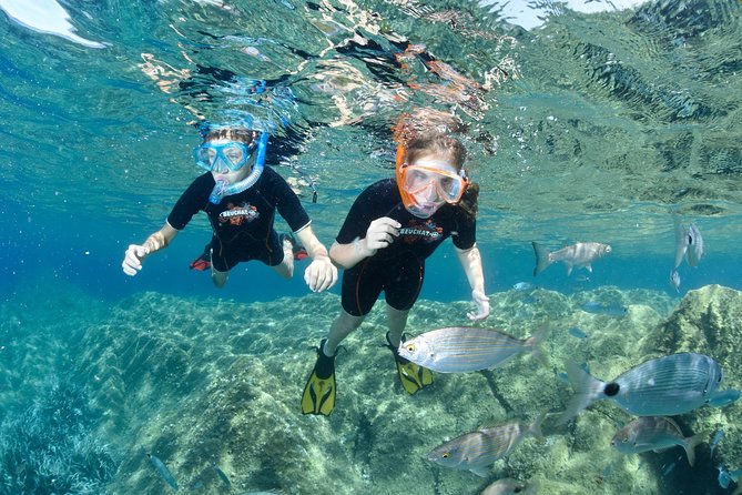 Snorkeling - By boat on site in the Bay of Cannes or Estérel - Starting at Port de la Rague at 1:30 p.m.