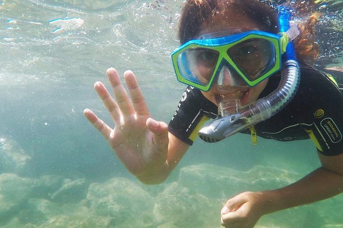 Snorkeling - By boat on site in the Bay of Cannes or Estérel - Equipment, comfort, and what to pack
