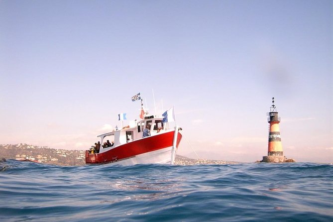 Snorkeling - By boat on site in the Bay of Cannes or Estérel - Is the four-hour schedule good value?