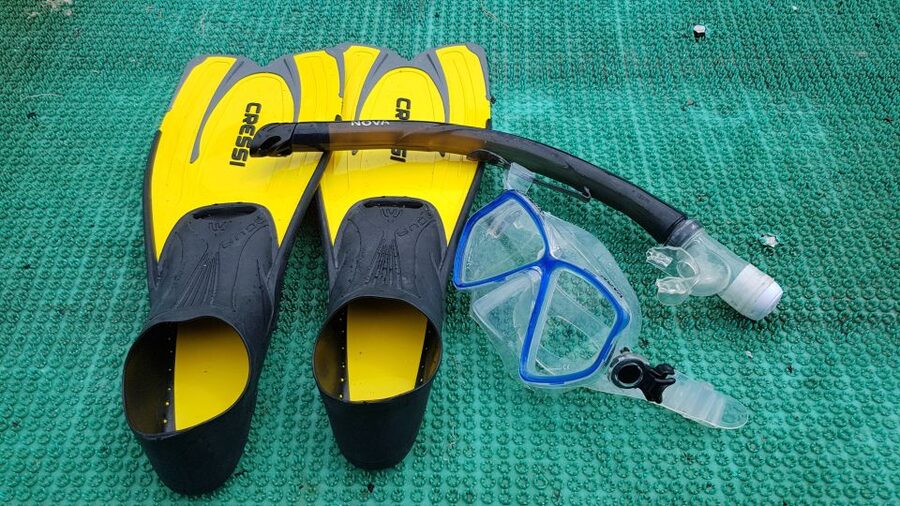 Snorkeling Cham Island: Snorkeling Tour by Speed Boat - Bai Chong Beach and the slower afternoon