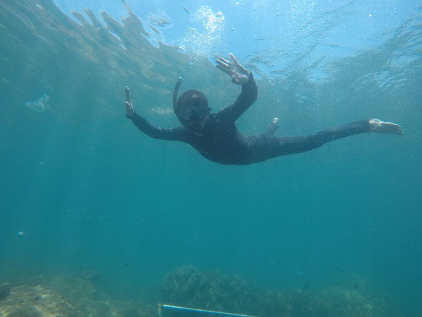 Snorkeling Cham Island: Snorkeling Tour by Speed Boat - Who will enjoy this Cham Island day?