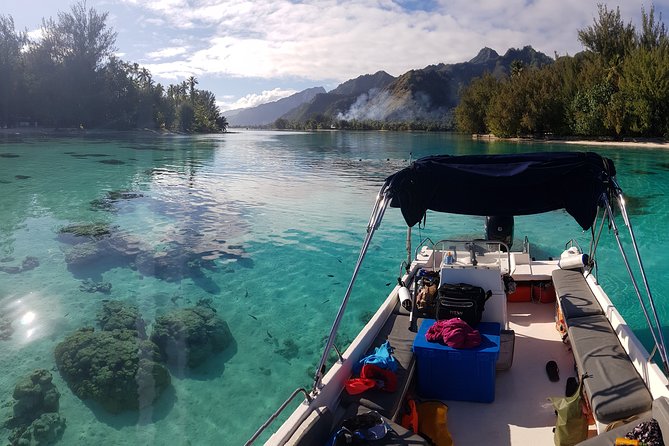 Snorkeling excursion, discovery of the lagoon, small group. - What makes this Moorea lagoon trip different
