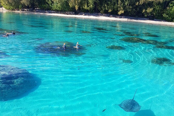Snorkeling excursion, discovery of the lagoon, small group. - Stop three: reef snorkeling with coral and fish