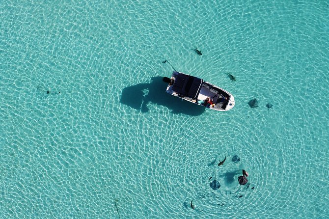 Snorkeling excursion, discovery of the lagoon, small group. - Stop four: turtles, eagle rays, or another quiet site