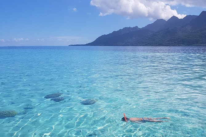 Snorkeling excursion, discovery of the lagoon, small group. - Alex’s guiding style matters here