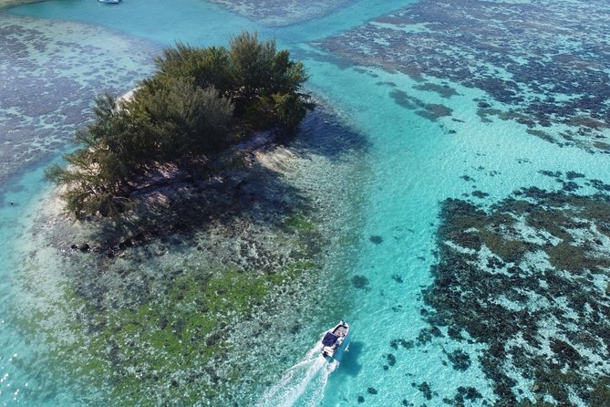 Snorkeling excursion, discovery of the lagoon, small group. - Why six people is worth paying for