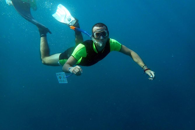 Snorkeling excursion in Isla de Tabarca - Seeing Tabarca from the water