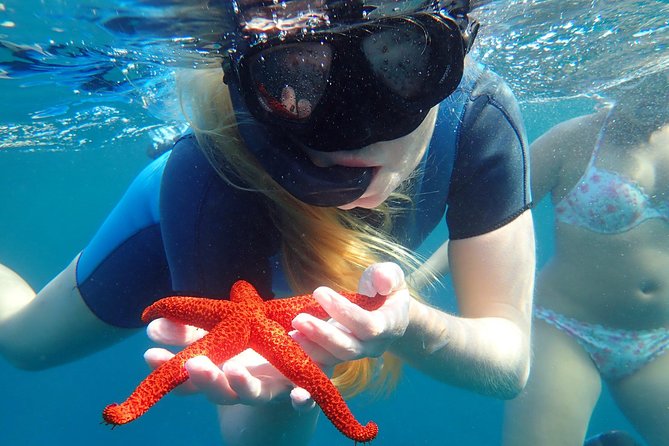 Snorkeling excursion in Isla de Tabarca - Is $61.95 a fair price?