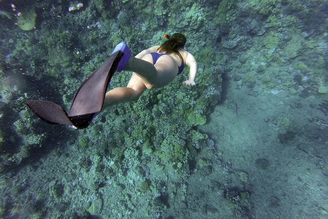 Snorkeling Fun Adventure in Athenian Riviera - The guide and driver make the difference