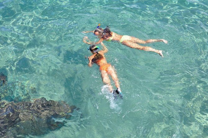 Snorkeling Fun Adventure in Athenian Riviera - What the cove and marine life offer