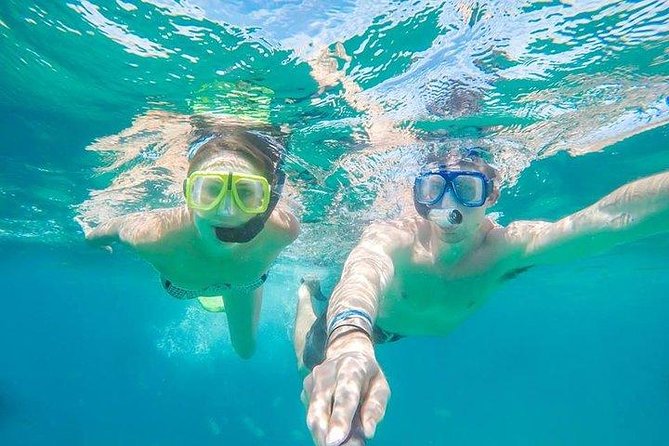 Snorkeling in Cabo San Lucas on 35' Sea Amore Trimaran - Key Points to Know Before You Book