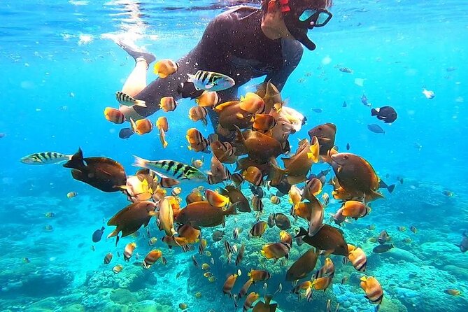 Snorkeling In Nusa Penida And Uluwatu Sunset Tours - Uluwatu Temple before sunset