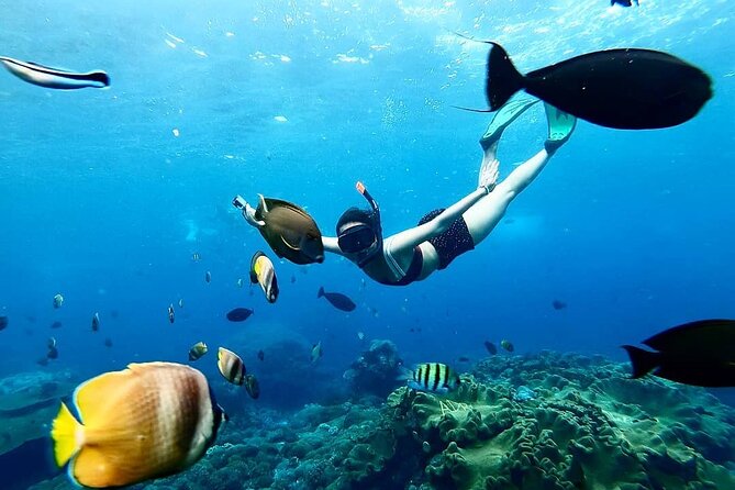 Snorkeling In Nusa Penida And Uluwatu Sunset Tours - Manta Point and the open-water start