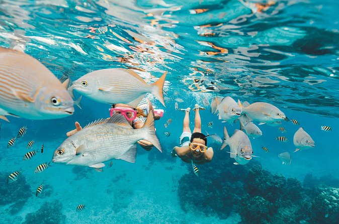 Snorkeling in Puerto Morelos - Equipment, sunscreen, and comfort