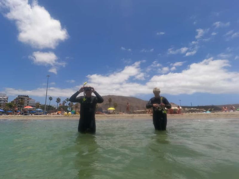 Snorkeling in tenerife south: Discover the underwater world - Starting at GF Isabel in Costa Adeje