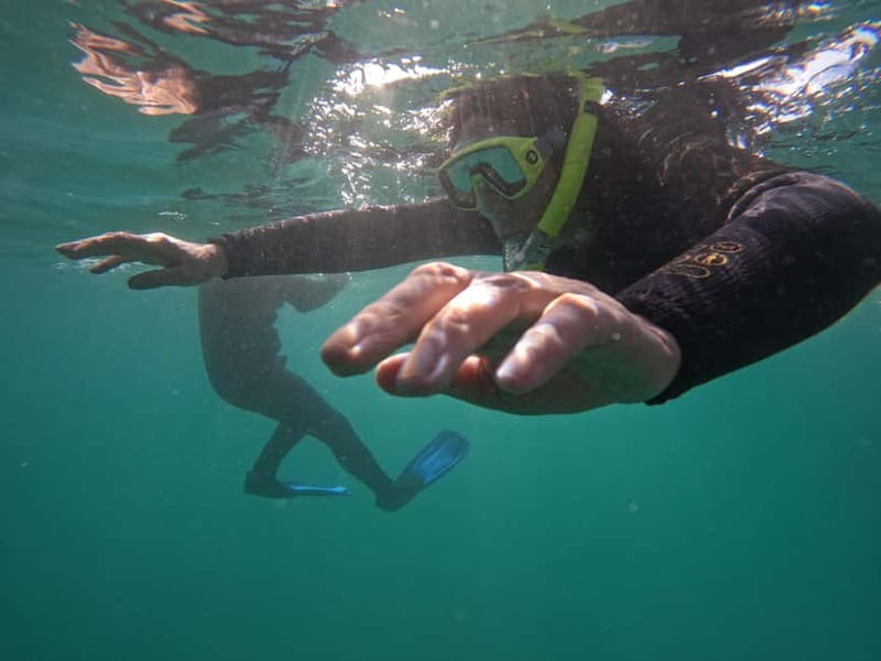 Snorkeling in tenerife south: Discover the underwater world - Choosing the snorkeling area according to the sea