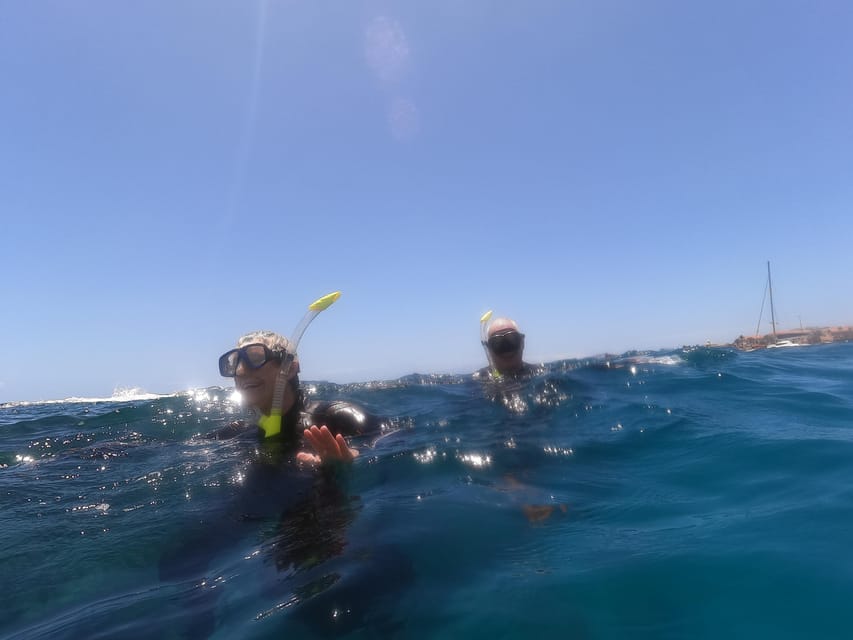 Snorkeling in tenerife south: Discover the underwater world - Why the small group makes a difference
