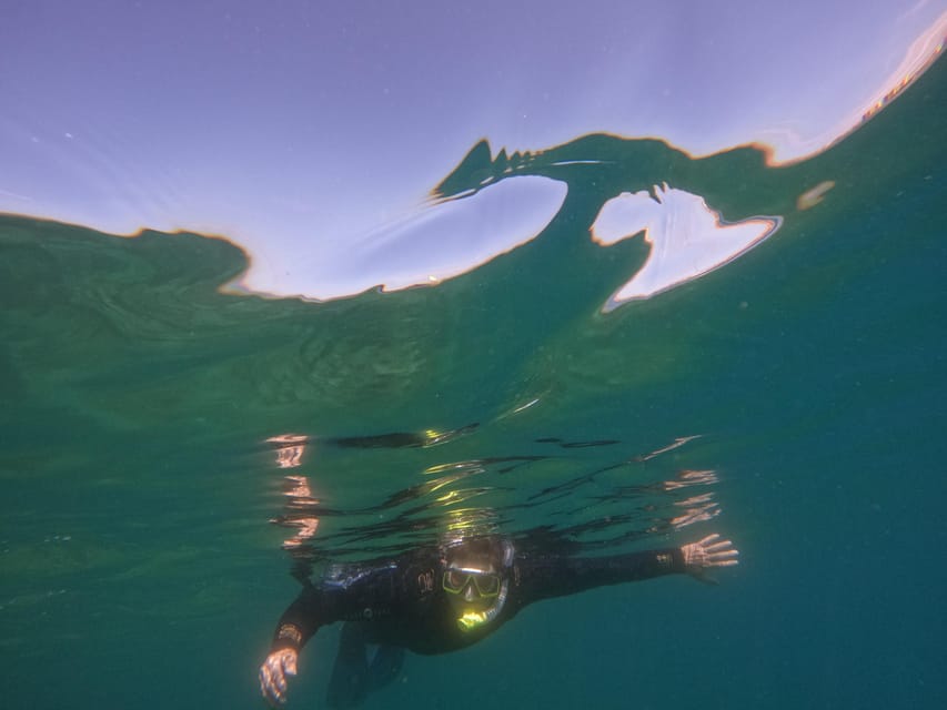 Snorkeling in tenerife south: Discover the underwater world - What the $47 price includes