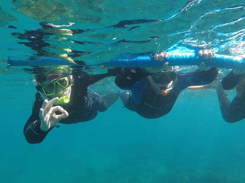 Snorkeling in tenerife south: Discover the underwater world - Who will enjoy this most