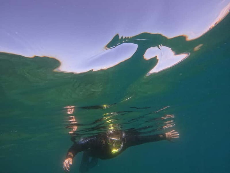 Snorkeling in tenerife south: Discover the underwater world - The most important question: is it worth booking?