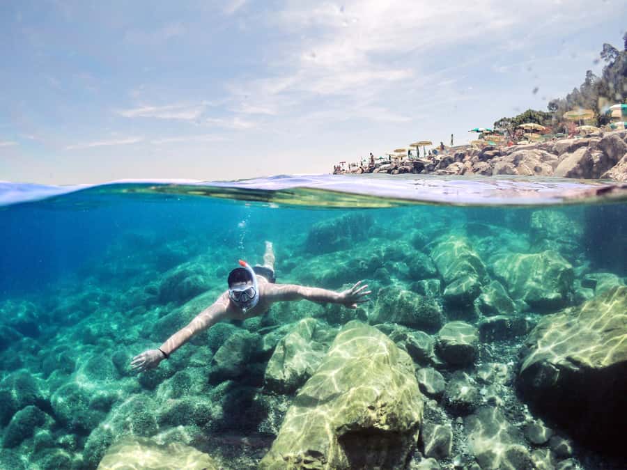 Snorkeling in The Red Sea With Equipment And Free Transfer - Key points to know before booking