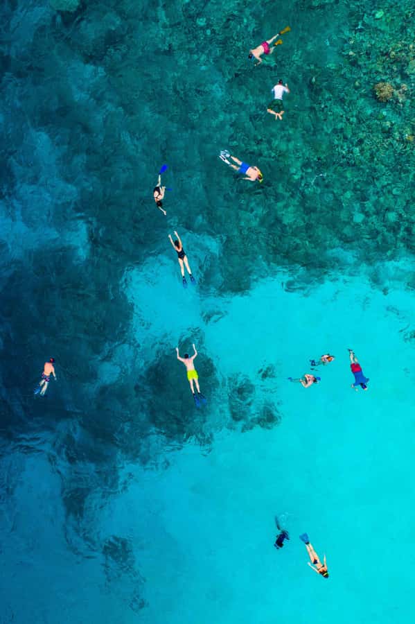Snorkeling in The Red Sea With Equipment And Free Transfer - Equipment, clothing, and what you must bring