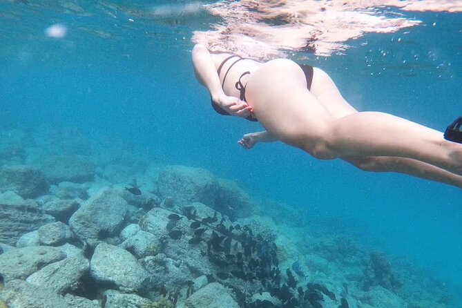 Snorkeling, Kayaking and Paddle Board Activity in Antigua - Key points at a glance