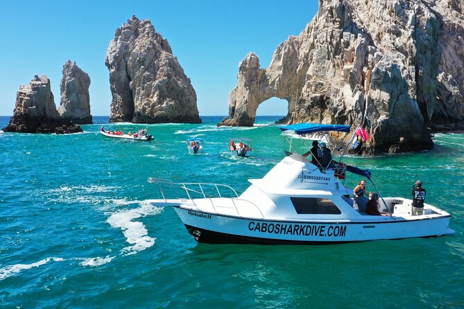Snorkeling or Swimming with Sharks in Cabo San Lucas - Gear, snacks, and the photo package