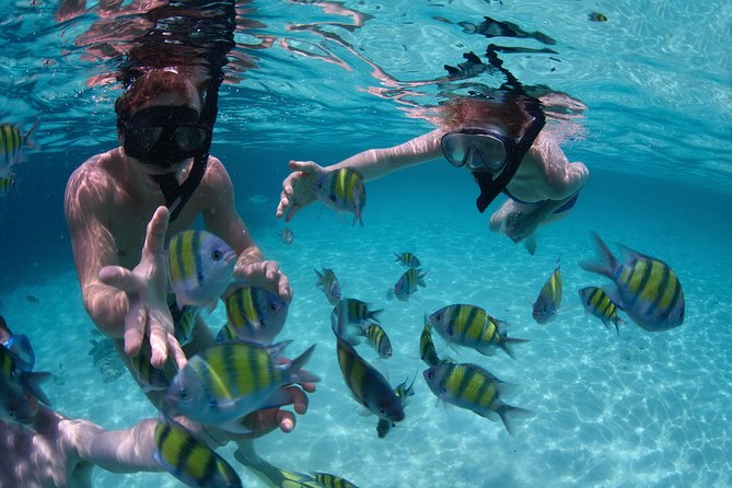 Snorkeling Tour at Land's End in Cabo San Lucas - What this Cabo snorkeling trip is really like