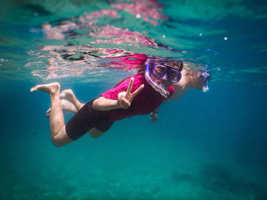 Snorkeling Tour: Discover Sydney’s impressive sea life - Is $69 Good Value?