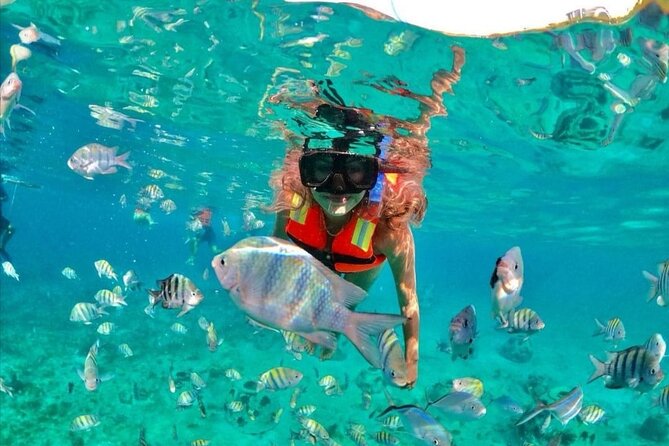 Snorkeling tour Express in Cancun with Certified Guide - Getting ready at the beach