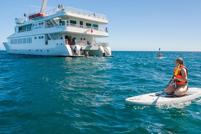 Snorkeling tour in Cabo San Lucas - Boarding in the Cabo marina