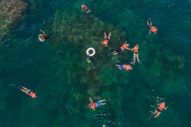 Snorkeling tour in Cabo San Lucas - Chileno Bay snorkeling: good conditions matter