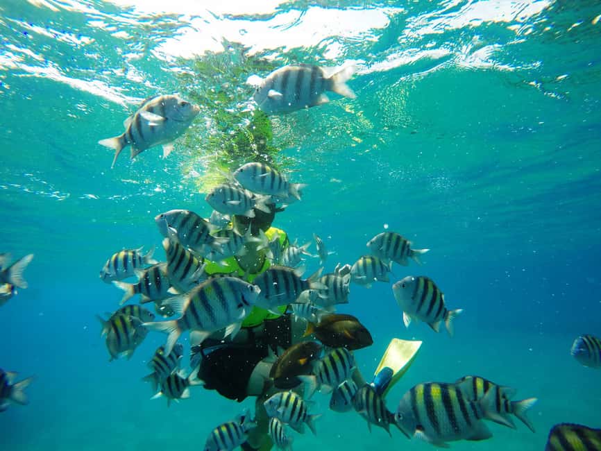 Snorkeling Tour & Sosua Beach Day - Starting with hotel pickup in Puerto Plata Province