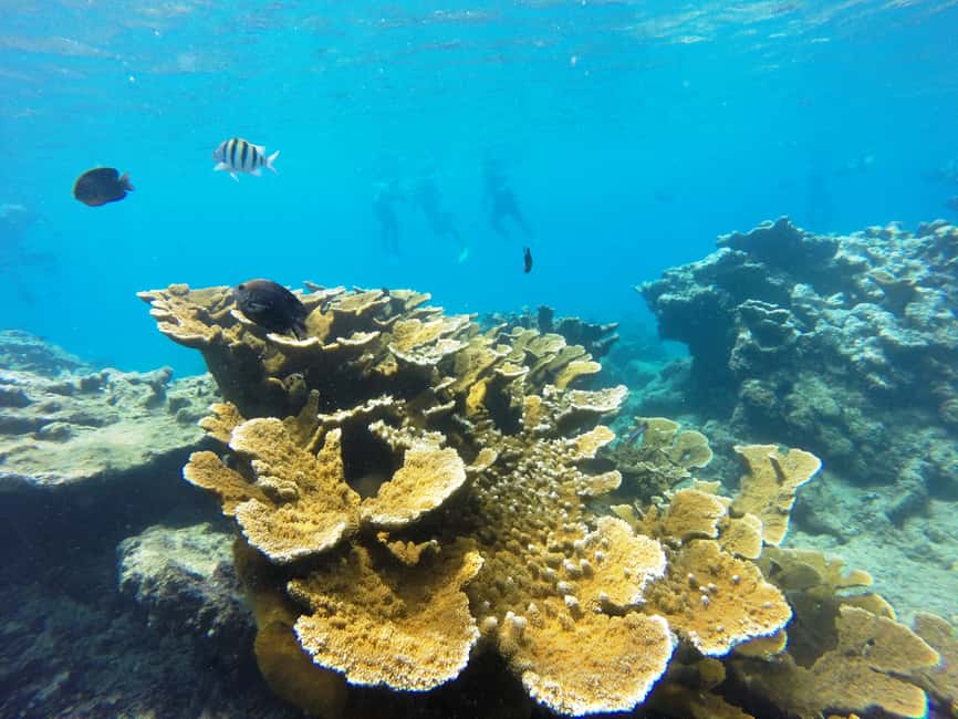 Snorkeling Tour & Sosua Beach Day - Who will enjoy this outing most