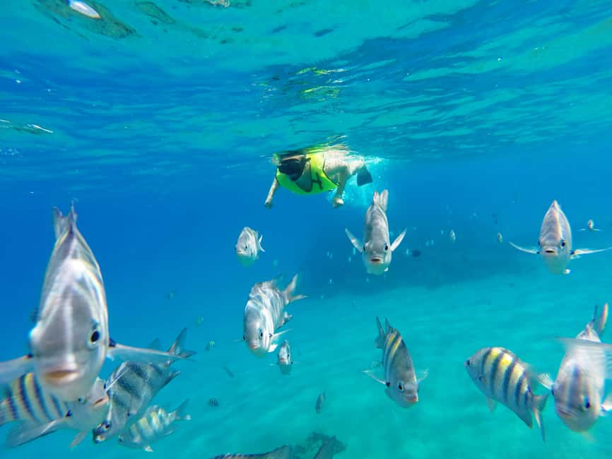 Snorkeling Tour & Sosua Beach Day - Getting ready at Sosua Bay
