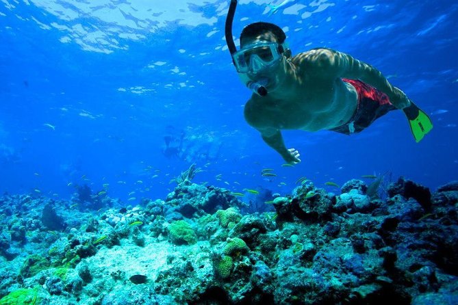 Snorkeling Tour to Vieques Island only 30 minutes away! - Snacks, drinks, and the value of $134.92