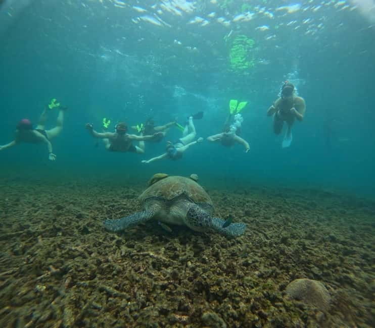 Snorkeling Tour with meals and BBQs - Cocktail - Sunset⭐⭐⭐⭐⭐ - Pickup in Ko Tao and a Comfortable Start