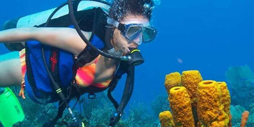 Snorkeling Trip from Polhena Beach, Matara, Sri Lanka - Key points at a glance