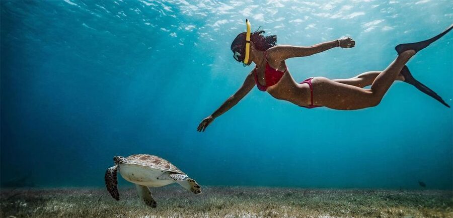 Snorkeling Trip from Polhena Beach, Matara, Sri Lanka - Turtles, fish, coral, and realistic expectations