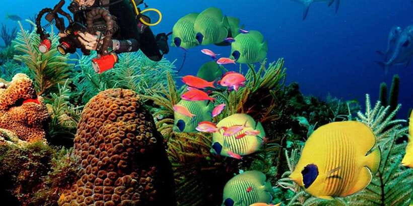 Snorkeling Trip from Polhena Beach, Matara, Sri Lanka - Meeting in Kamburugamuwa before the water