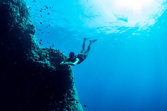 Snorkeling with Marine Biologist Expert from Sorrento - Why Punta Campanella makes a good setting