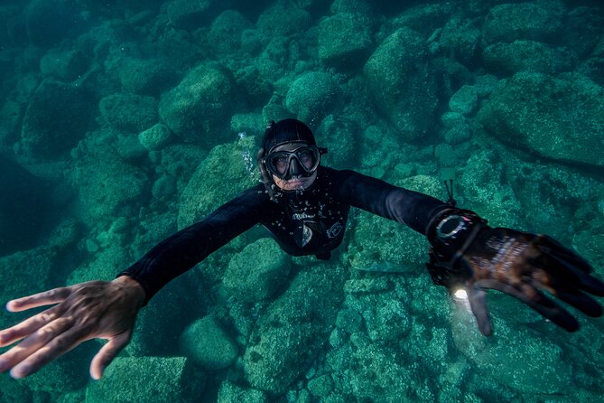 Snorkeling with Marine Biologist Expert from Sorrento - A second site and a break on the boat