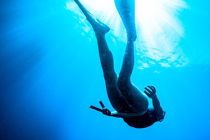 Snorkeling with Marine Biologist Expert from Sorrento - What the marine biologist adds